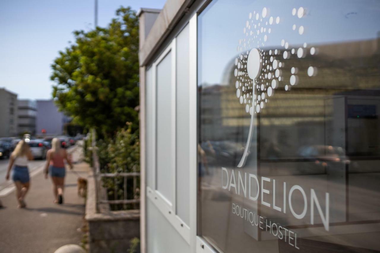 ザダル Dandelionホステル エクステリア 写真